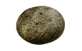 saaristolimppu.jpg